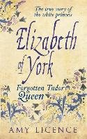 Elizabeth of York Licence Amy