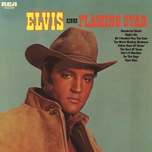 Elvis Sings Flaming Star Elvis Presley