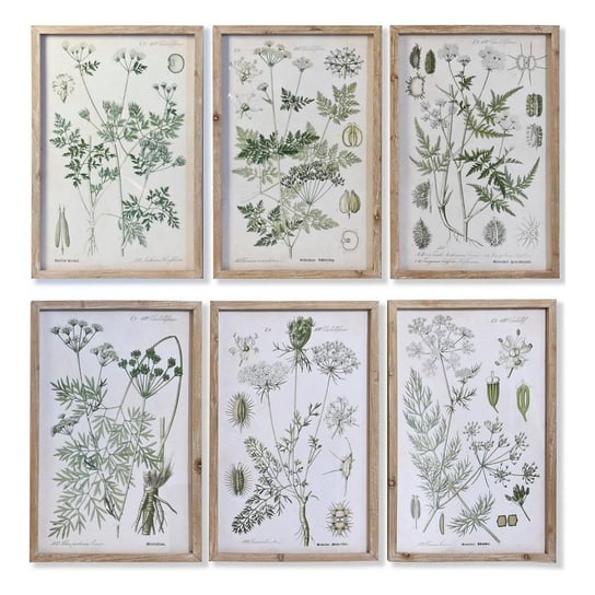 Emaga Obraz DKD Home Decor Jodła Szkło Rośliny botaniczne (6 Sztuk) (40 x 2 x 60 cm) DKD Home Decor