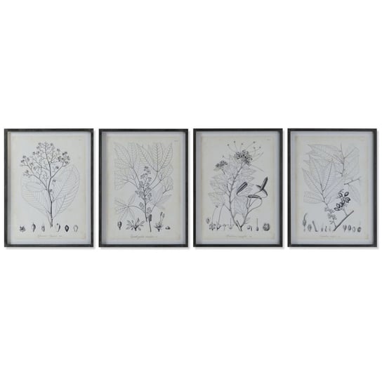 Emaga Obraz DKD Home Decor Nowoczesny Rośliny botaniczne 45 x 2,5 x 60 cm (4 Sztuk) Inna marka