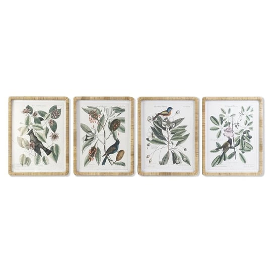 Emaga Obraz DKD Home Decor Rośliny botaniczne (50 x 2,5 x 65 cm) (4 Sztuk) DKD Home Decor