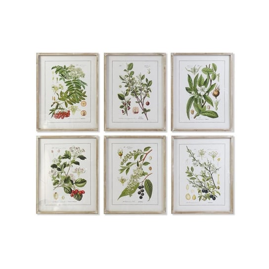 Emaga Obraz DKD Home Decor Rośliny botaniczne (55 x 2 x 70 cm) (6 Sztuk) DKD Home Decor