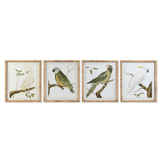 Emaga Obraz DKD Home Decor Tropikalny Ptaki (50 x 2,5 x 60 cm) (4 Sztuk) DKD Home Decor