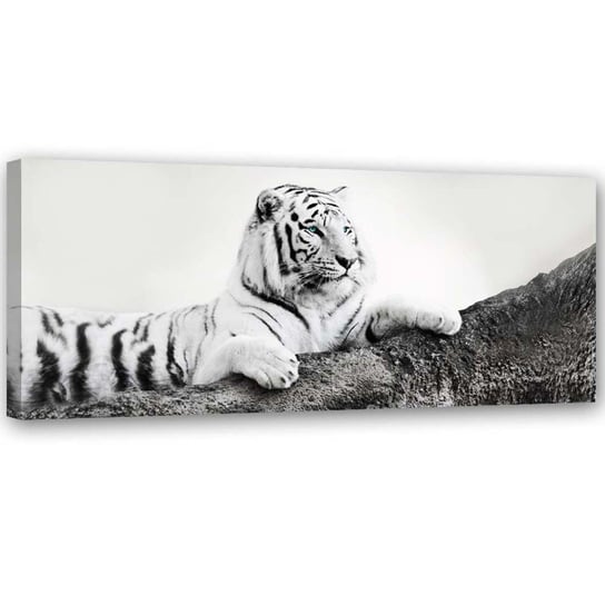 Emaga Obraz na płótnie, Tygrys Zwierzeta Natura - 120x40 Inna marka