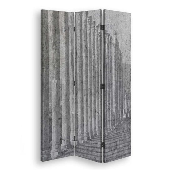 Emaga Parawan dwustronny obrotowy, Architektoniczny porządek - 110x170 Inna marka