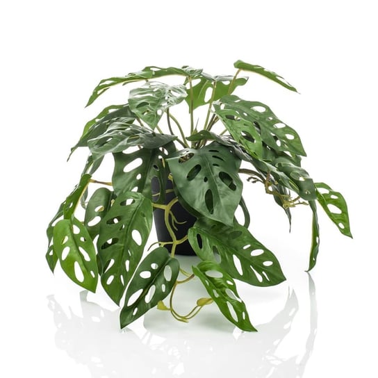 Emerald Sztuczna monstera Monkey w doniczce, 55 cm Emerald