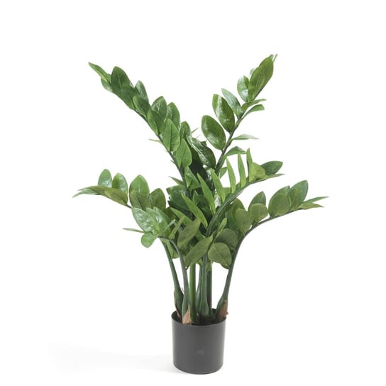 Emerald Sztuczny zamiokulkas, 70 cm VMP