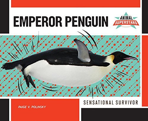 Emperor Penguin Opracowanie zbiorowe
