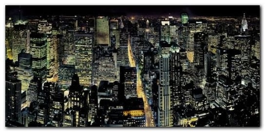 Empire State B. plakat obraz 100x50cm Wizard+Genius