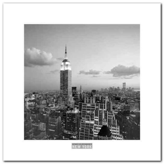 Empire State Building plakat obraz 30x30cm Wizard+Genius