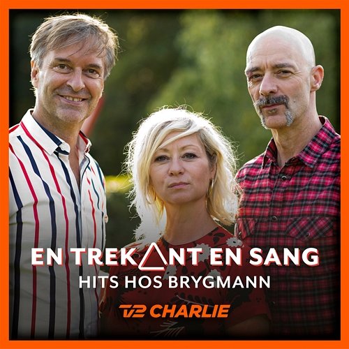 En Trekant En Sang 5 - Hits Hos Brygmann Various Artists