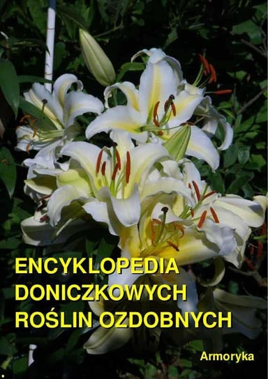 Encyklopedia doniczkowych roślin ozdobnych - ebook epub Sarwa Andrzej Juliusz