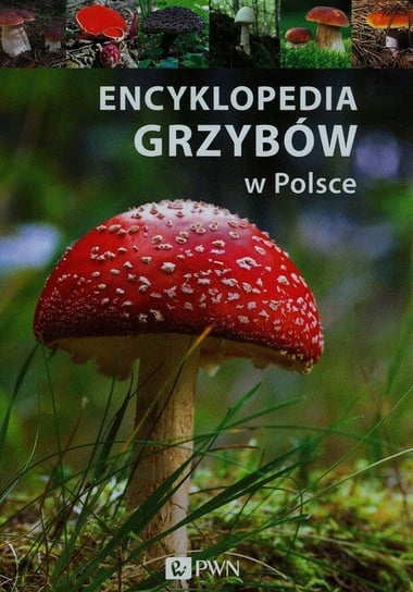 Encyklopedia grzybów w Polsce Kamiński Wiesław, Flaczyńska Malwina
