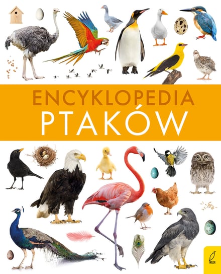 Encyklopedia ptaków Zalewski Paweł