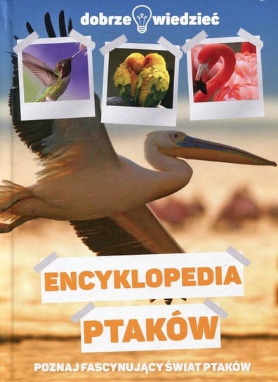 Encyklopedia ptaków. Dobrze wiedzieć Opracowanie zbiorowe