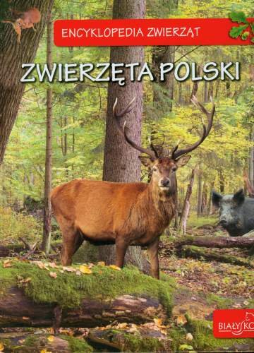Encyklopedia Zwierząt Zwierzęta Polski Zarych Elżbieta