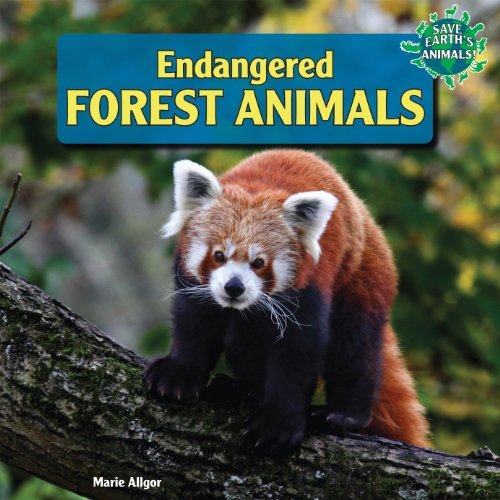 Endangered Forest Animals Opracowanie zbiorowe