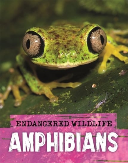 Endangered Wildlife. Rescuing Amphibians Ganeri Anita