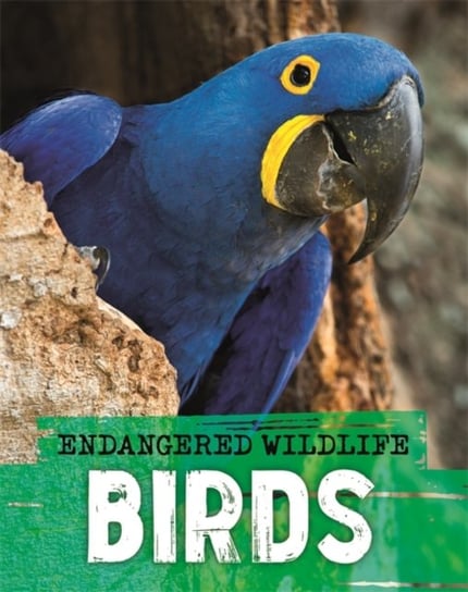 Endangered Wildlife. Rescuing Birds Ganeri Anita