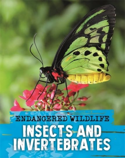 Endangered Wildlife. Rescuing Insects and Invertebrates Ganeri Anita