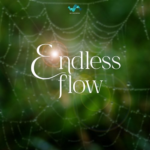Endless Flow NS Records