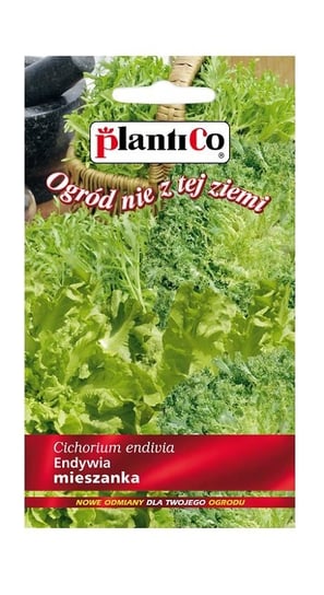 Endywia mieszanka 0,3 g Plantico Inna marka