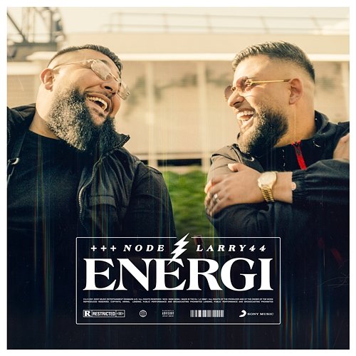 Energi Node, Larry