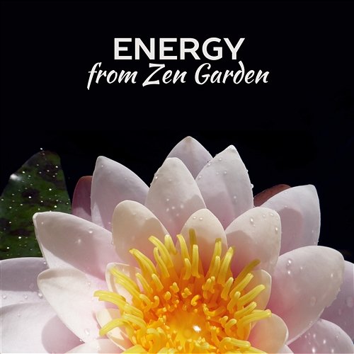 Energy from Zen Garden: Serenity Relaxation Music for Free Time, Instrumental New Age with Sounds of Mother Earth for Deep Meditation, Inner Peace Healing Power Natural Sounds Oasis