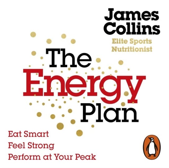 Energy Plan Collins James
