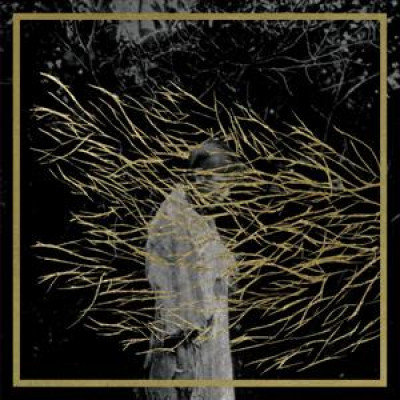 Engravings Forest Swords