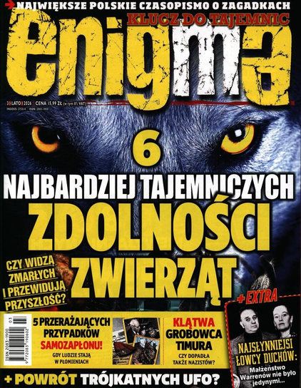 Enigma Klucz do Tajemnic Amconex Sp. z o.o.