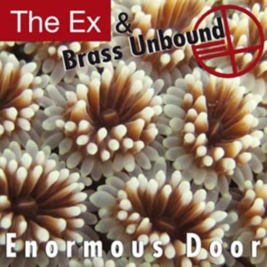 Enormous Door The Ex & Brass Unbound