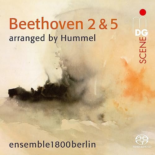 Ensemble1800berlin & Beethoven: Symphony No. 2 & Symphony No. 5: ensemble1800berlin-Beethoven: Symphony No. 2 & Symphony No. 5 Various Artists