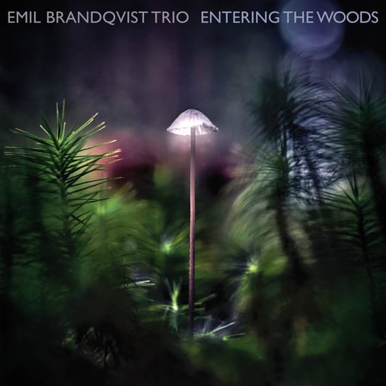 Entering The Woods Emil Brandqvist Trio