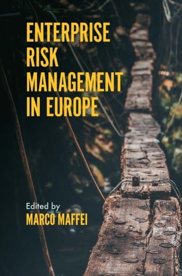 Enterprise Risk Management in Europe Opracowanie zbiorowe