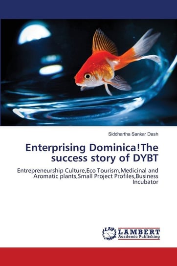 Enterprising Dominica!The success story of DYBT Dash Siddhartha Sankar