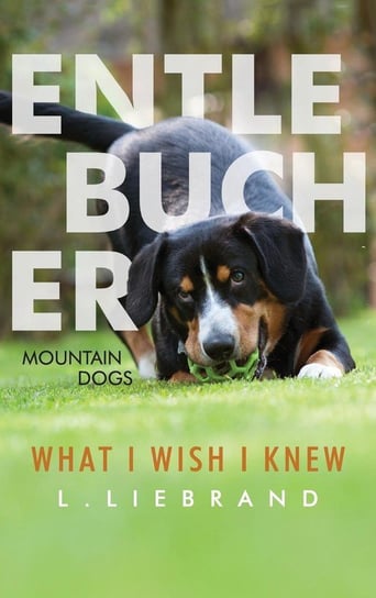 Entlebucher Mountain Dogs - What I Wish I Knew Liebrand L