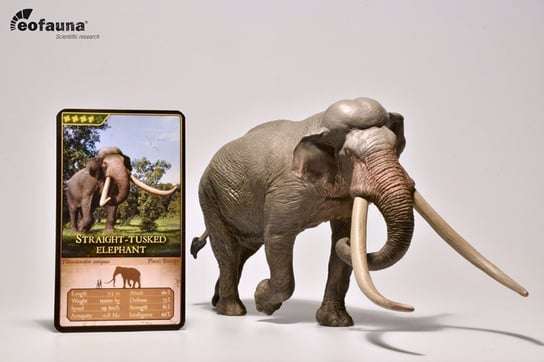 Eofauna 002 Palaeoloxodon antiquus słoń leśny 1:35 13x24c Eofauna