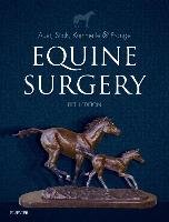 Equine Surgery Auer Jorg A., Stick John A.