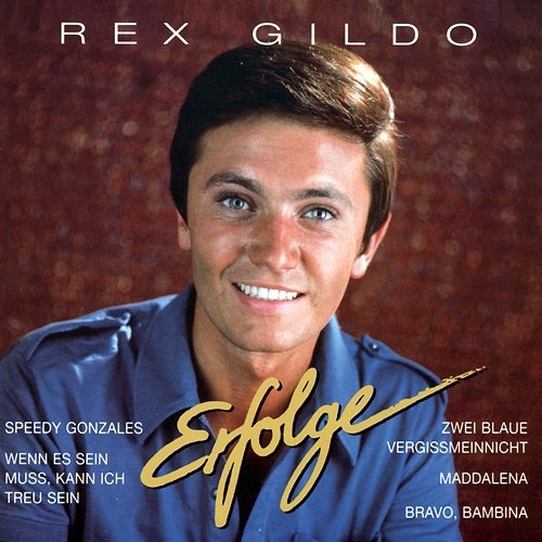 Erfolge Rex Gildo