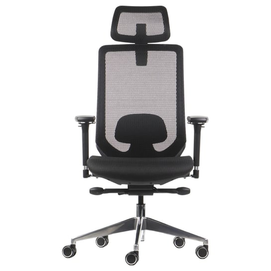 Ergonomiczne obrotowe krzesło biurowe DITTER, czarny, podstawa aluminiowa, siedzisko i oparcie siatkowe, regulowane podłokietniki i oparcie Stema