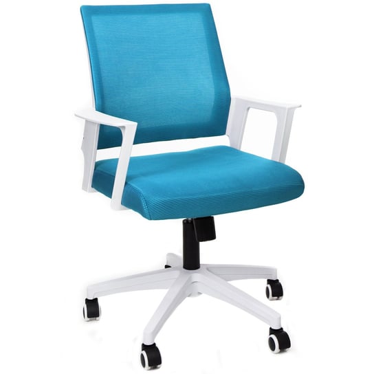 Ergonomiczny Fotel Obrotowy F360 (Niebieski) Nordhold