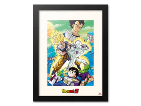 Erik Art Print Dragon Ball Z Zer Encounter Picture With Frame Inna marka