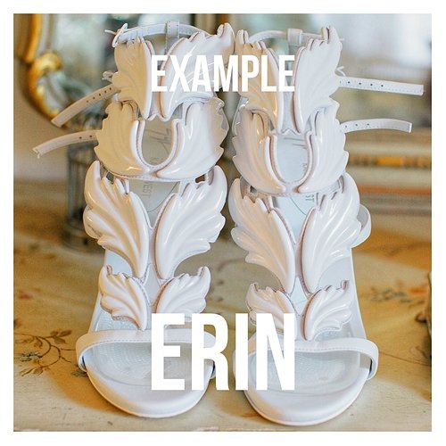 Erin Example
