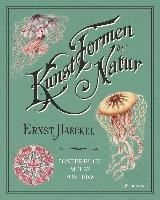 Ernst Haeckel: Kunstformen der Natur. Posterbuch mit 22 Postern Uthoff Kira