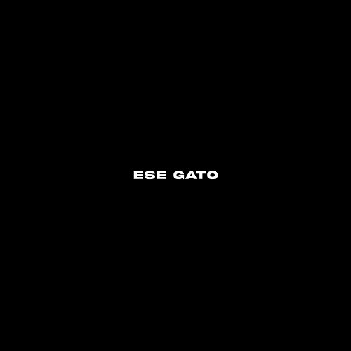 Ese Gato Flow Nasty, Jey F