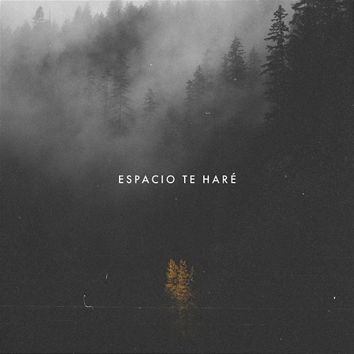 Espacio Te Haré Community Music, Indiomar