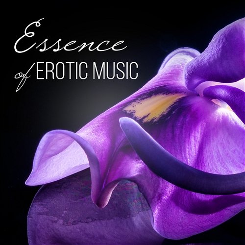 Essence of Erotic Music: Intimate Moments, Hot Foreplay, Love Making Music, Romantic Night, Tantric Sex Chillout, Sensual Massage, Red Passion Lounge Erotic Music Zone