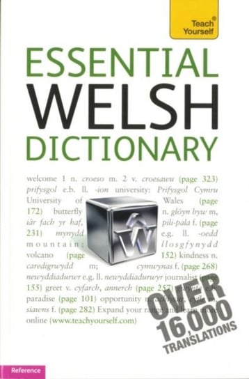 Essential Welsh Dictionary: Teach Yourself Edwin C. Lewis