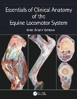 Essentials of Clinical Anatomy of the Equine Locomotor System Denoix Jean-Marie